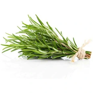 تصویر فروشگاه گون استور