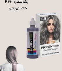 تصویر شامپو رنگ پیگمنت خاکستری تیره شماره 26 