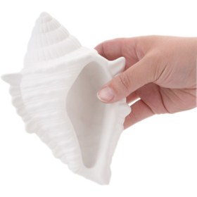 تصویر صدف الیزا 