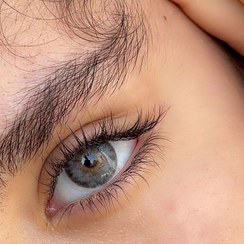 تصویر لنز طوسی خاکستری مرکز عسلی دوردار سیری گری فرشلیدی 