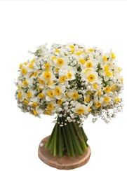 تصویر دسته گل نرگس 