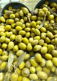 تصویر زیتون کنسروی 