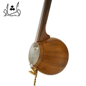 تصویر کمانچه رامین بحیرایی 