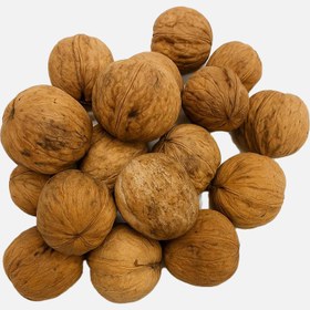 تصویر گردو با پوست دستی درجه دو 