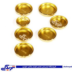 تصویر پولک آب دولوکس آهنی قدیمی فدرال موتور FPW751 