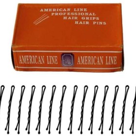 تصویر سنجاق شینیون کوچک نیم کیلویی 