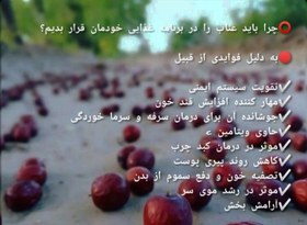 تصویر عناب - 3 