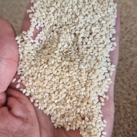 تصویر کنجد سفید ممتاز (1 کیلویی) .