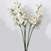 تصویر شاخه ارکیده مصنوعی سیمبیدیوم13 گل سفید 