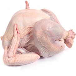 تصویر گوشت بوقلمون ۱ کیلوگرم 