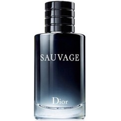 تصویر ساوج - ساواج ادو پرفیوم مردانه دیور Sauvage Eau de Parfum For Men Dior 