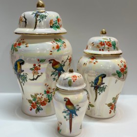 تصویر جینجرجار طوطی صدفی 