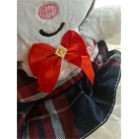 تصویر عروسک پولیشی مدل کرومی 