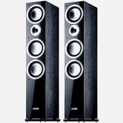 تصویر بلندگوی استند کنتون Canton Chrono 508.2 DC 