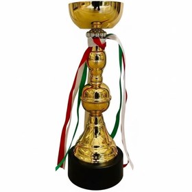 تصویر کاپ قهرمانی کد IR021 تکی 