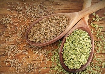 تصویر پودر چهارزیره 