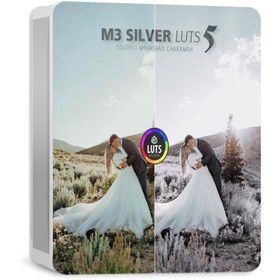 تصویر رنگ سینمایی M3 Silver LUT 5 