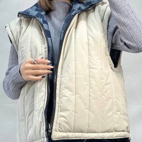 تصویر پافر دو رو 