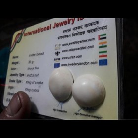 تصویر مهره مار شاه کبری پک کامل قوی ترین نوع 