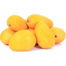 تصویر بذر بیبی انبه 1عددی 