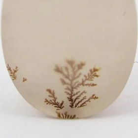 تصویر سنگ شجر کد 2317 