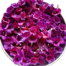 تصویر بذر گل گاو زبان ایرانی 