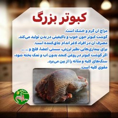 تصویر گوشت کبوتر بزرگ بسته دو عددی 