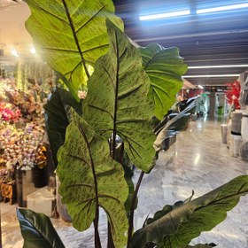 تصویر درختچه بابا آدم مصنوعی 