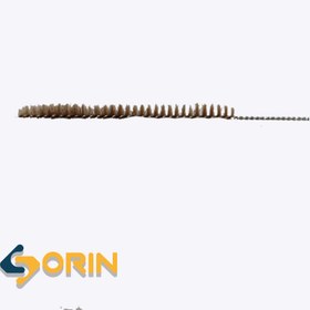 تصویر بورت شوی 