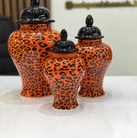 تصویر ست جینجر جار پلنگی 