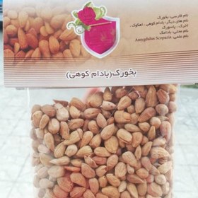 تصویر فروش عمده ، تولید و بسته بندی مغز بادام کوهی (بخورک ،بادام تلخ ،پاسورک) 60 گرمی 