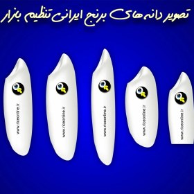 تصویر برنج ایرانی تنظیم بازار 10 کیلوگرم برنج آنلاین 