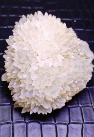 تصویر کلسیت جوجه تیغی مینیمال 