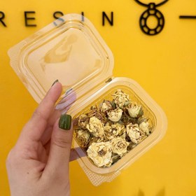 تصویر گل خشک رز سفید 