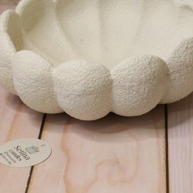 تصویر دیس روشا 