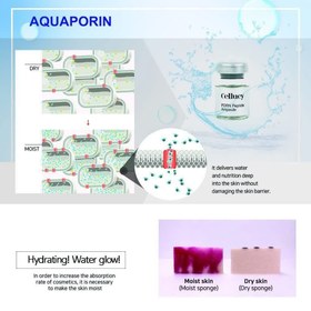 تصویر کوکتل دی ان ای ماهی سالمون PDRN Cellucy PDRN Cellucy