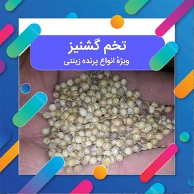 تصویر تخم گشنیز 200 گرمی مخصوص پرنده زینتی بذر گشنیز دانه گشنیز گیشنیز 