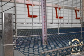 تصویر قفس بلدرچین تخمگذار 1 طبقه صادراتی 