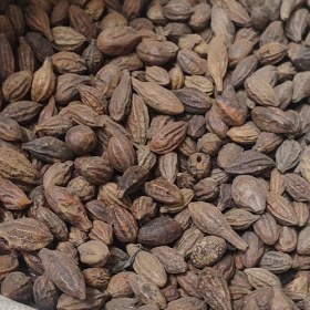 تصویر هلیله زرد 