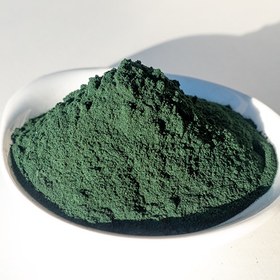 تصویر پودر جلبک سندسموس ابلیکوس 