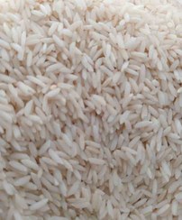 تصویر برنج علی کاظمی اعلا گیلشا ۱۴۰۴ 