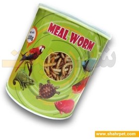 تصویر میل ورم آکوا Aqua Meal Worm