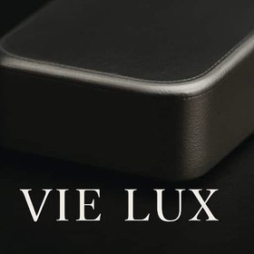 تصویر شمش نقره 