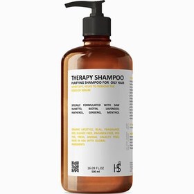 تصویر شامپو درمانی احیاکننده سلول های بنیادی مو اچ اس 5 حجم 500 میل Hs5 Stem Cell Shampoo For Thinning Hair 500ml