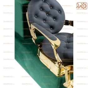 تصویر سرشور کلاسیک 8881 