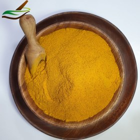 تصویر زردچوبه هندوستان 