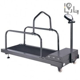 تصویر تردمیل سگ (حیوانات) برقی 