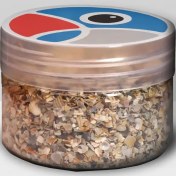 تصویر شن و صدف طوطی و تمام پرندگان زینتی - yukaparrot 