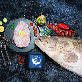 تصویر ماهی هامور 