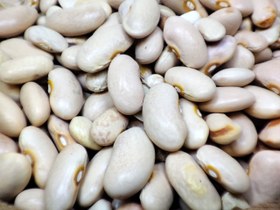 تصویر لوبیا کپسولی فله ای 